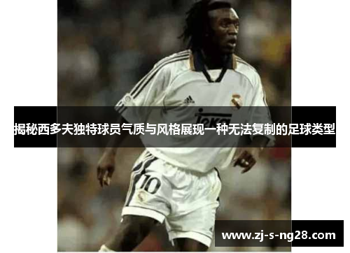 揭秘西多夫独特球员气质与风格展现一种无法复制的足球类型 揭秘西多夫独特球员气质与风格展现一种无法复制的足球类型