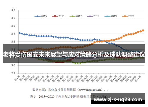 老将受伤国安未来展望与应对策略分析及球队调整建议