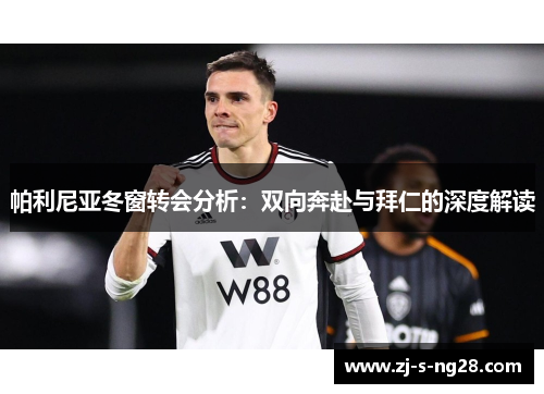 帕利尼亚冬窗转会分析：双向奔赴与拜仁的深度解读