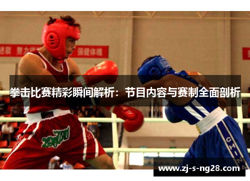 拳击比赛精彩瞬间解析：节目内容与赛制全面剖析