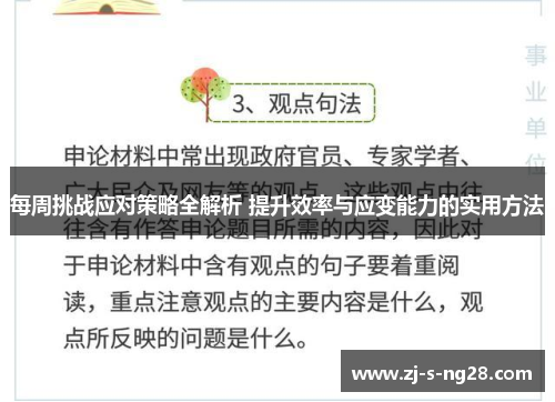 每周挑战应对策略全解析 提升效率与应变能力的实用方法