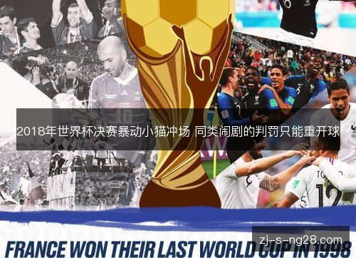 2018年世界杯决赛暴动小猫冲场 同类闹剧的判罚只能重开球